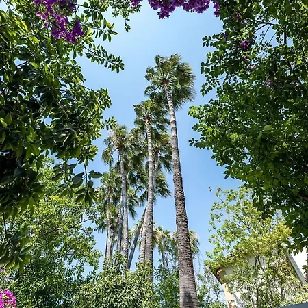 Hotel Riverside Garden 4*