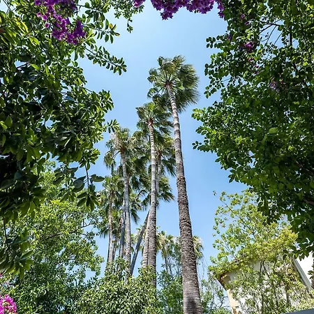 Riverside Garden Καραβάς