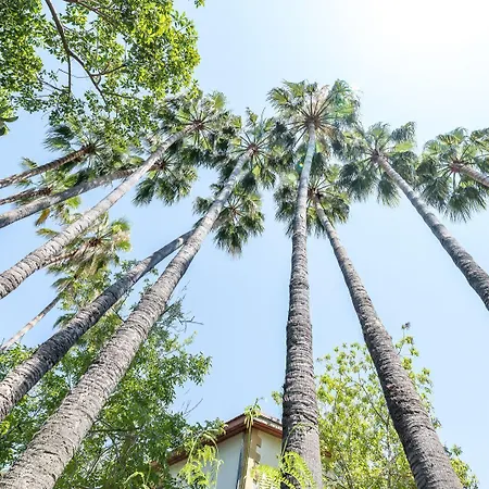 Riverside Garden Hotel 4*