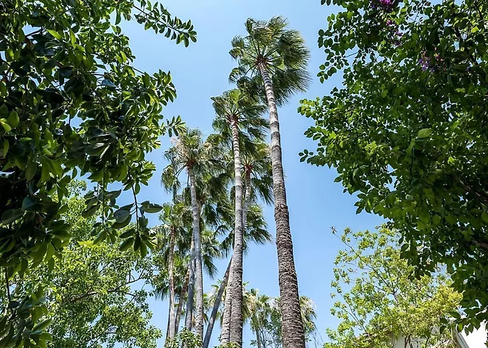 Riverside Garden Karavas (Northern Cyprus)