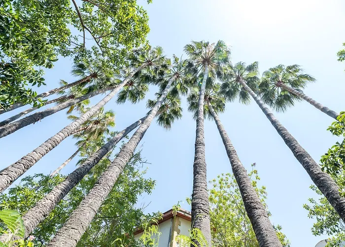 Riverside Garden Otel 4*